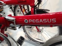 Pegasus_Dahon_Verschluss.JPG