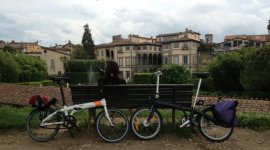 2 Falter auf der Stadtmauer von Lucca.JPG