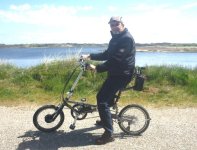 Tartaruga_WP2.jpg Tartaruga_WP2.jpg