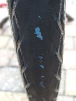 DSC06197a.jpg