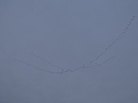 DSC06374a.jpg DSC06374a.jpg