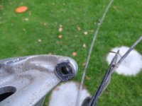DSC07615a.jpg