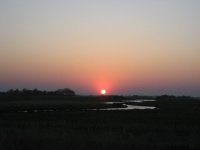 IMG_1039a.jpg