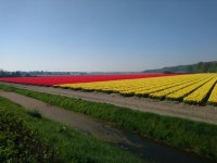 DSC_1693a.jpg