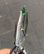 9162FD4A-43A4-4179-8FB1-C3B825E221DC.jpeg 9162FD4A-43A4-4179-8FB1-C3B825E221DC.jpeg