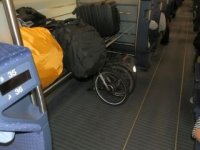 200304Wild Eagle im ICE 4.jpg